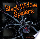 Black Widow Spiders cover