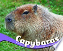Capybaras cover