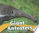 Giant Anteaters cover