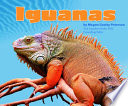 Iguanas cover