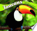 Toucans cover