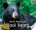 North American Black Bears cover