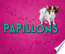 Papillons cover
