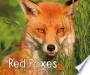 Red Foxes cover