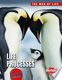 Life Processes (Freestyle Express) cover