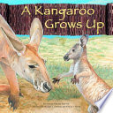 A Kangaroo Grows Up cover