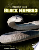 Black Mambas cover