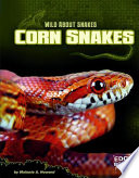 Corn Snakes cover