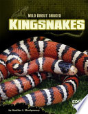 Kingsnakes cover