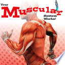 Your Muscular System Works! cover