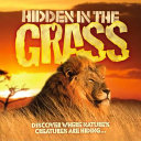 Hidden in the Grass cover