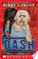 Dash cover