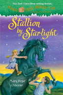 Stallion by Starlight cover