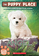 Angel cover