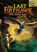 The Ember Stone cover