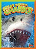 Great White Sharks cover