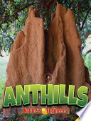 Anthills cover