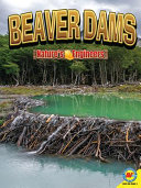 Beaver Dams cover