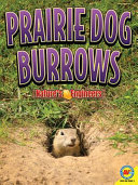 Prairie Dog Burrows cover
