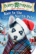 Race to the North Pole cover