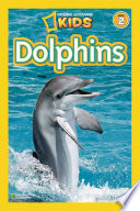 Dolphins cover