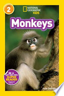 Monkeys cover