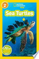 Sea Turtles cover