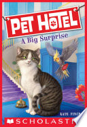 A Big Surprise cover