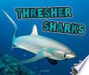 Thresher Sharks cover