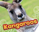 Kangaroos cover