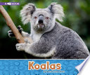Koalas cover