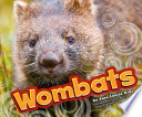 Wombats cover