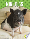 Mini Pigs cover