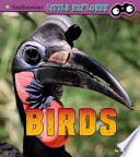 Birds cover