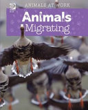 Animals Migrating cover