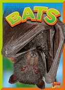 Bats cover