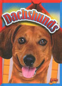 Dachshunds cover