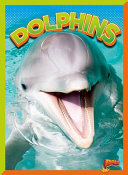 Dolphins cover