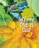 Where Did It Go? cover
