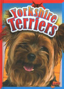 Yorkshire Terriers cover