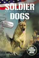 Air Raid Search and Rescue cover