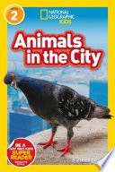 Animals in the City cover