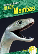 Black Mambas cover