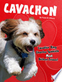 Cavachon: Cavalier King Charles Spaniels Meet Bichon Frises! cover