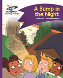 A Bump in the Night cover