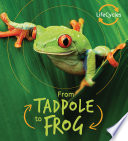 From Tadpole to Frog cover