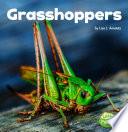 Grasshoppers cover