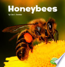 Honeybees cover