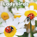 Ladybirds cover