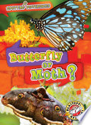 Butterfly or Moth? cover